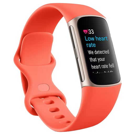 75653_Fitbit Charge 6 Fitness Tracker